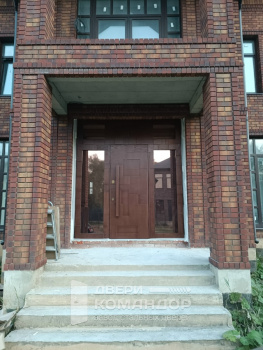 Входная дверь Stardis Termo  с боковыми и верхней фрамугами со стеклопакетами и ручкой скобой