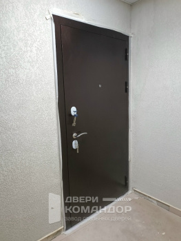 Входная дверь Тайгер Триумф  антик медь / белый ясень с расширением проёма