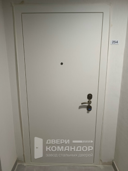 Входная железная дверь Stardis Expert с двухсистемным замком Mottura, с девиаторами